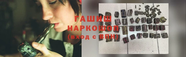сатива Армянск