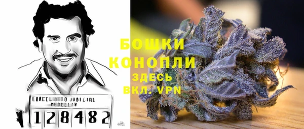 сатива Армянск