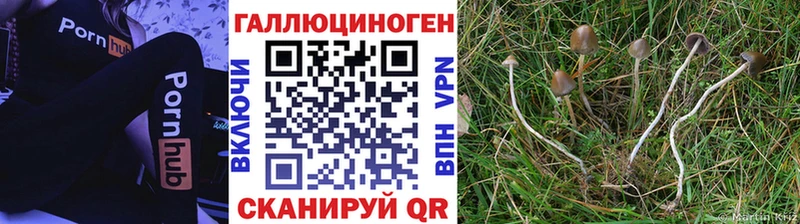 Галлюциногенные грибы Cubensis  даркнет Telegram  Артёмовск 